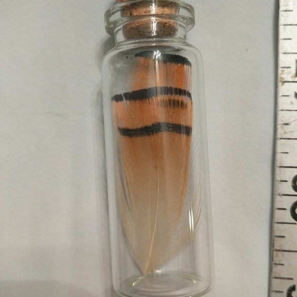 Roost feather in glass - Picture 2 of 3